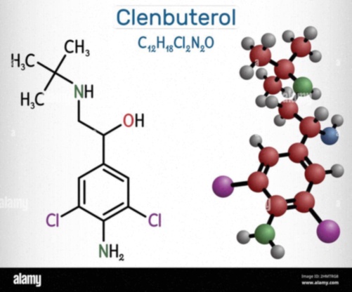 Clenbuterolo generico