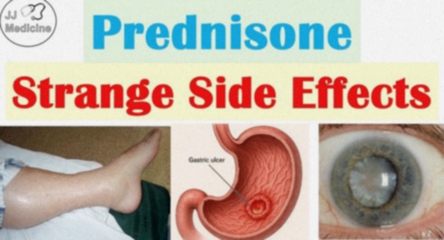 prednisone